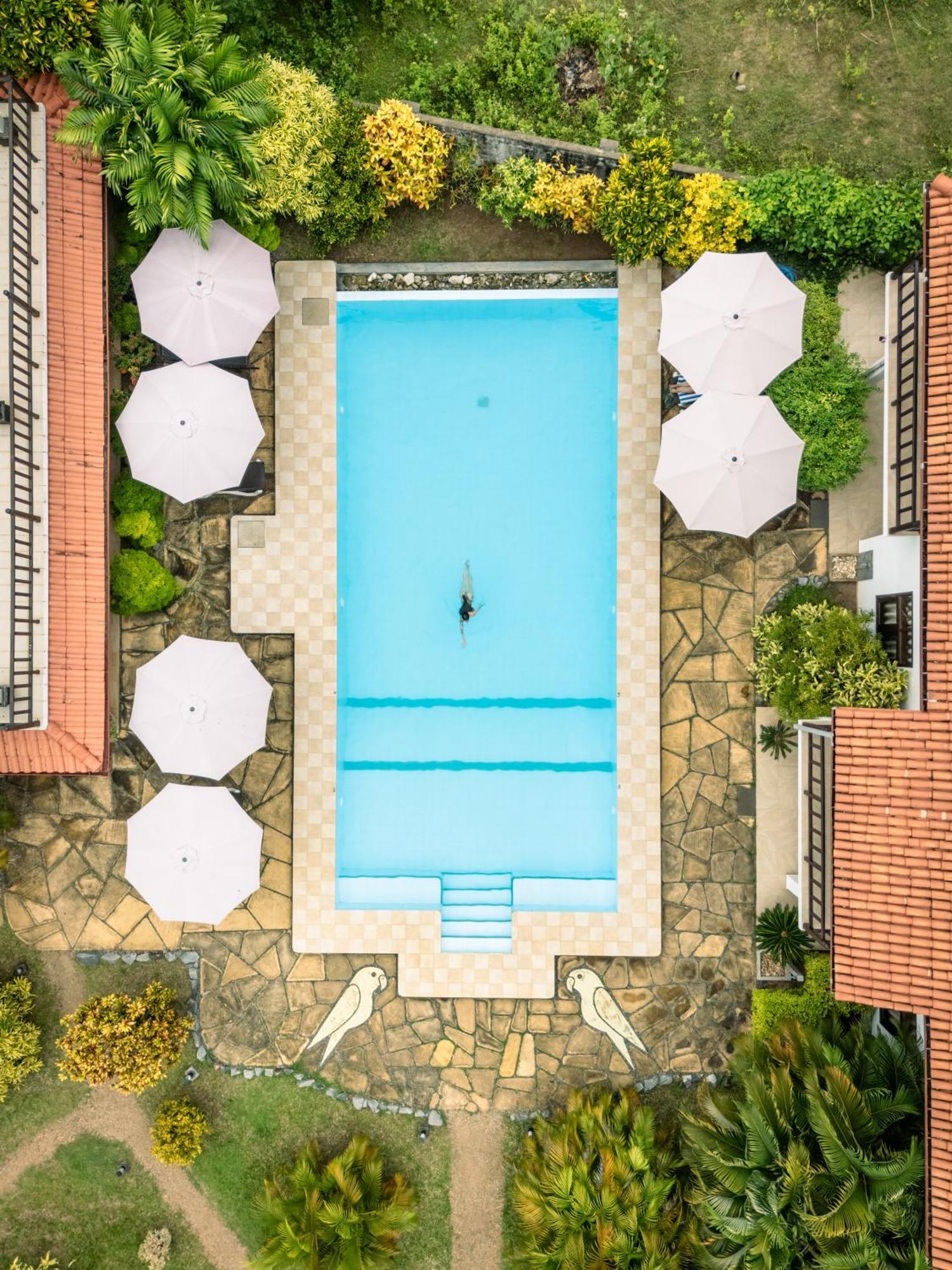Green Parrot Beach Resort タンガラ エクステリア 写真