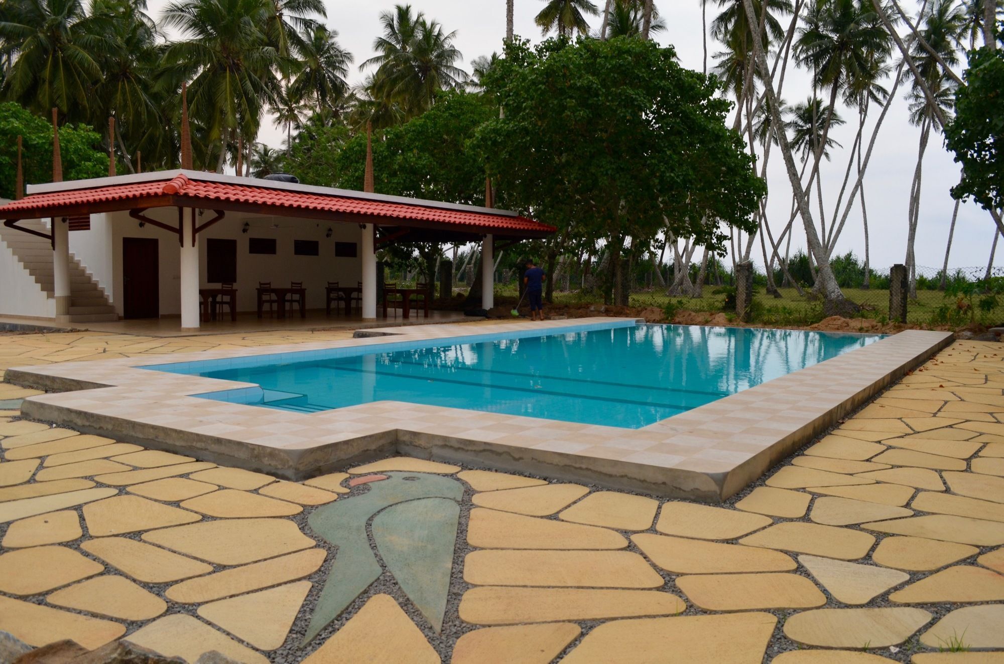 Green Parrot Beach Resort タンガラ エクステリア 写真