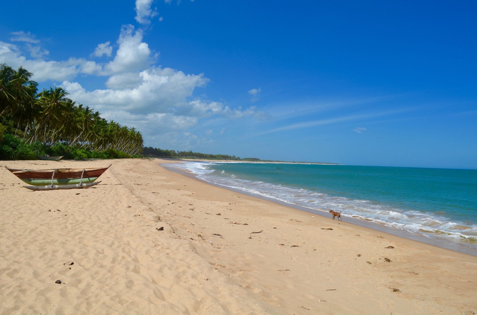Green Parrot Beach Resort タンガラ エクステリア 写真